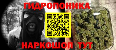молекула духа Пенза