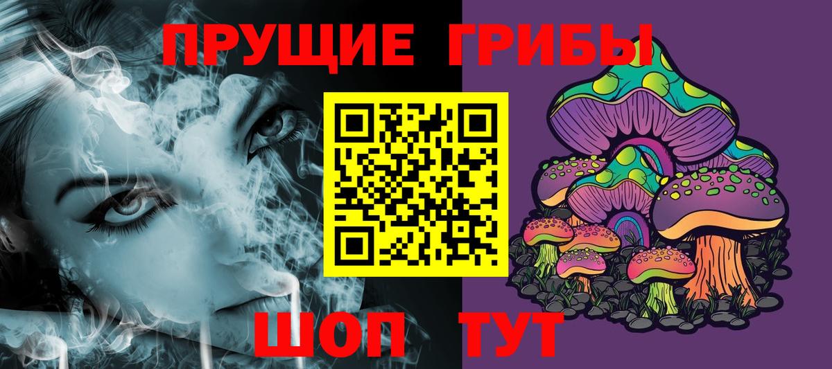 Сертолово  Галлюциногенные грибы Psilocybe  Галлюциногенные грибы прущие грибы  Вход с VPN 