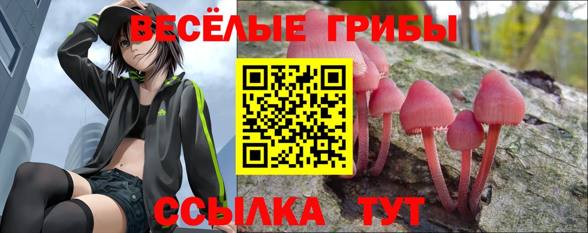 ГАШ Сертолово